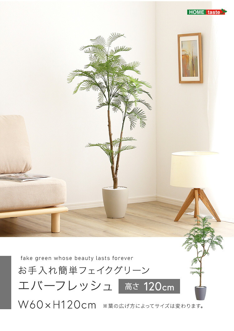 お手入れ簡単 フェイクグリーン エバーフレッシュ Sサイズ(120cm) 新築祝い 開店祝い