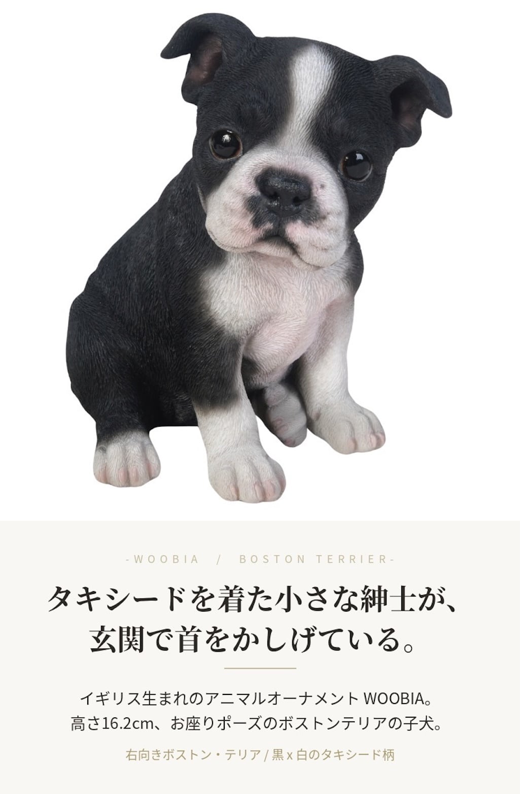 置物 woobia ウービア 犬 ボステリ 右向きボストンテリア 黒白 高さ16.2cm 子犬 タキシード犬 リアル 本物そっくり イギリス生まれ 職人手彩色 縁起物 戌年 玄関 インテリア 新築祝い 引っ越し祝い 開店祝い 出産祝い 誕生日 お祝い ギフト プレゼント 犬好き ボストンテリア好き
