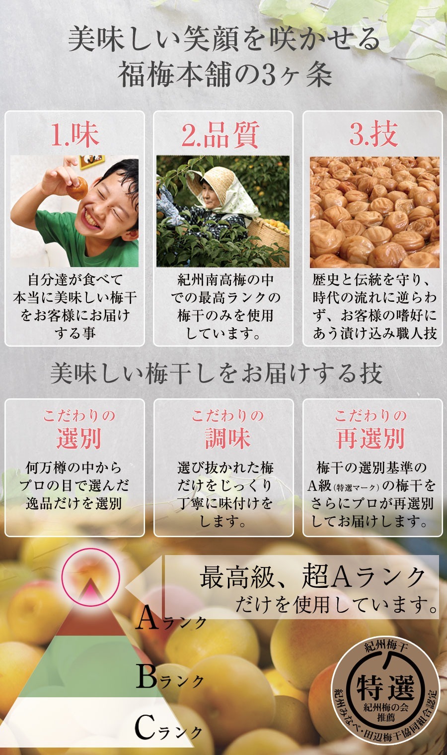 【特選紀州南高梅】【あまみつ梅250g×2パック（塩分約5％）】【紀州産】【調味梅干】減塩のはちみつ梅干し つけもの 梅干し ギフト プレゼント 内祝