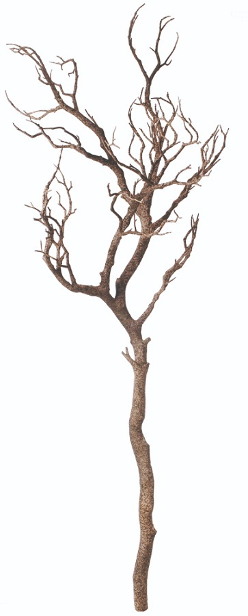人工観葉植物　　マンザニータ93ｃｍ