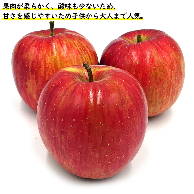 13度糖度保証 長野県産りんご シナノスイート プレミアム 贈答用 果物 フルーツ お取り寄せ 産地直送 【送料無料(一部地域除く)】