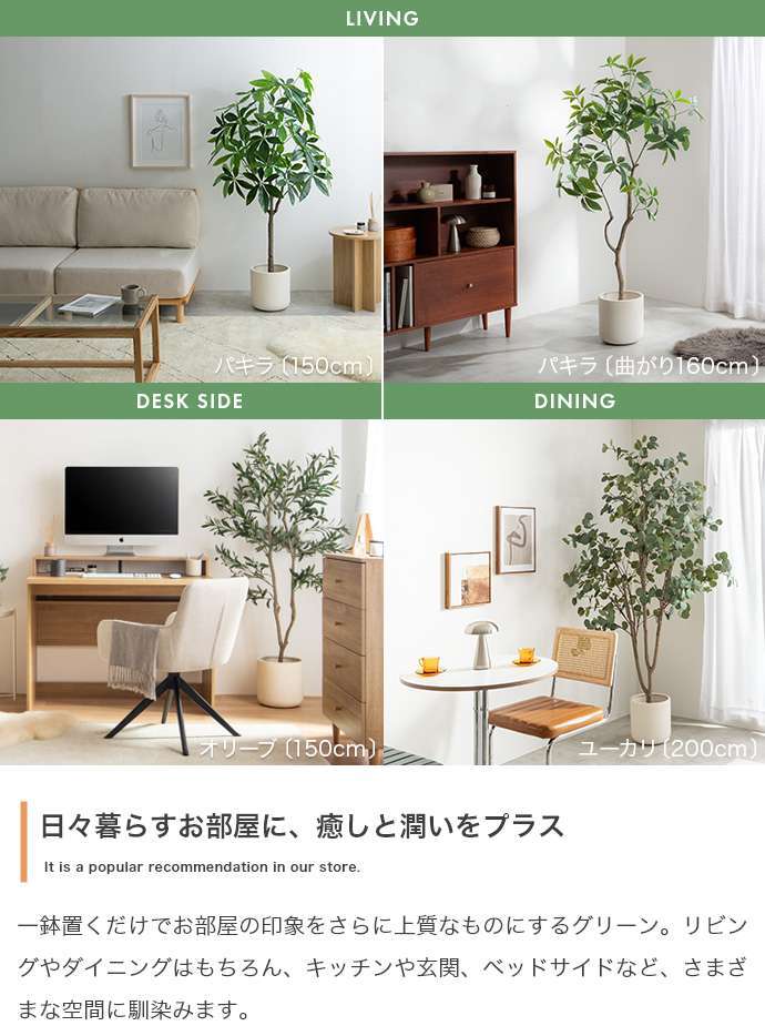 【高さ160cm】光触媒人工観葉植物 パキラ 曲がり 幅72cm×奥行50cm×高さ160cm オフィス 天然木 組立品 お部屋に気軽に飾れて空間を美しく彩るフェイクグリーン 本物の植物のようなリアルな質感とインテリアに馴染む風合いが魅力です
