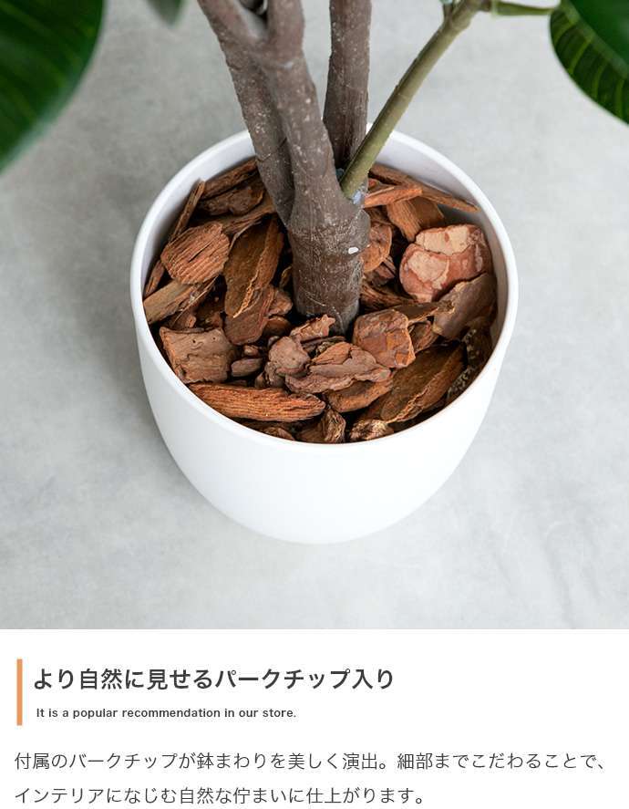 【高さ200cm】光触媒人工観葉植物 パキラ 曲がり 幅55cm×奥行50cm×高さ200cm オフィス 天然木 組立品 お部屋に気軽に飾れて空間を美しく彩るフェイクグリーン 本物の植物のようなリアルな質感とインテリアに馴染む風合いが魅力です