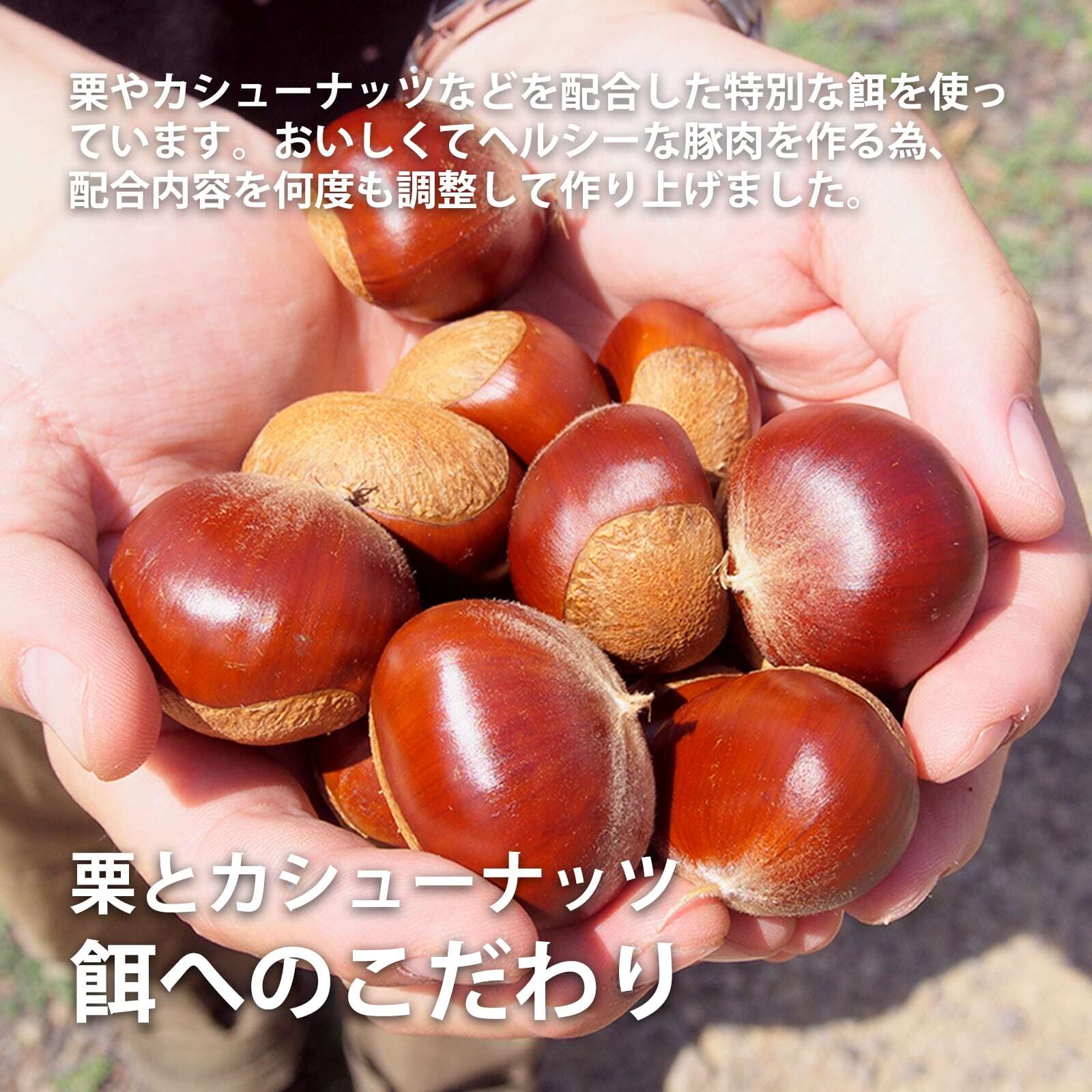 【食べ比べ】豚肉ヘルシーしゃぶしゃぶお試しセット 1kg【宮崎県産くりぷ豚】