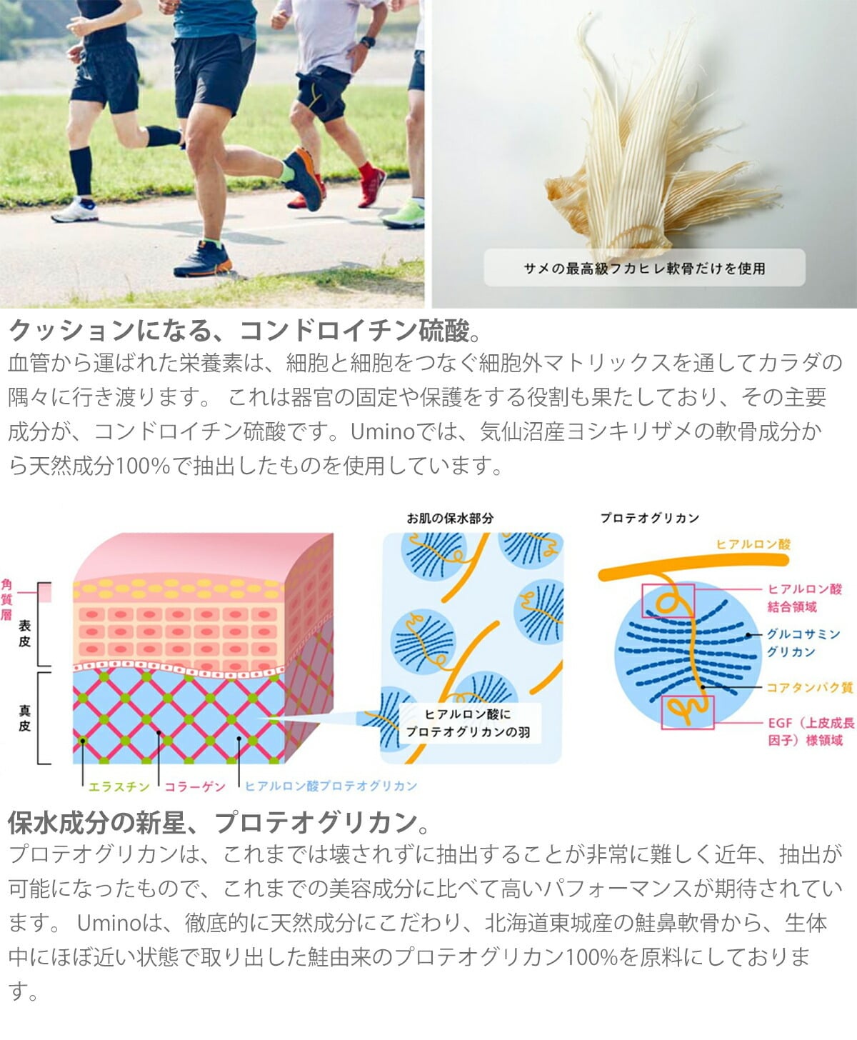 umino フカ コンドロイチンプラス 30g（250mg×約120錠）