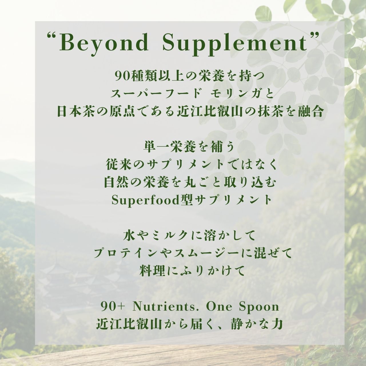 【モリンガ×抹茶】SAEMON's モリンガ抹茶プラス 200g スーパーフード モリンガ 粉末 国産抹茶 90種以上の栄養素 GABA ポリフェノール 食物繊維 美容 健康 朝食置き換え プロテイン スムージー ギフト