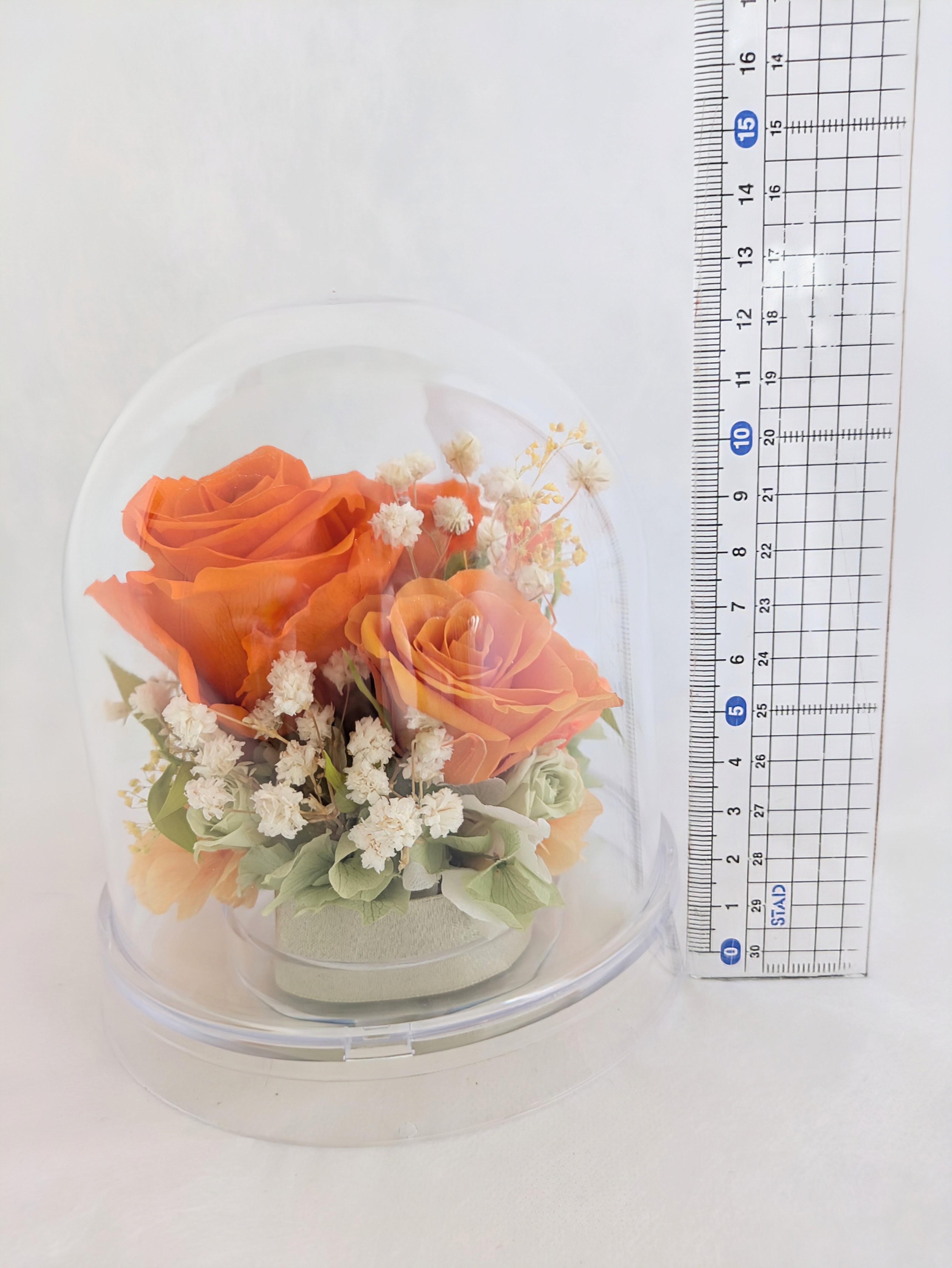 プリザーブドフラワー／オレンジの大輪の薔薇と小花のクリアドームギフト