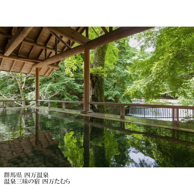 ５万円コース 潮風 -しおかぜ-「5つ星の宿」ギフト  カタログギフト 旅行 プレゼント 誕生日 記念日 父/母の日 敬老の日 還暦祝い イベント景品【送料無料】