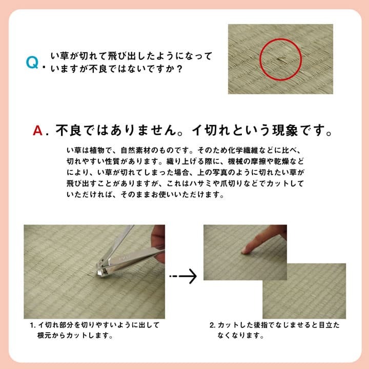 夏ラグ 夏用カーペット い草 上敷き カーペット 制菌 抗菌防臭 消臭 小林製薬KOBA-GUARD 江戸間4.5畳(約261×261cm）
