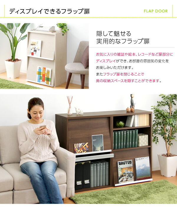 収納家具 ラック フラップ扉2枚タイプ DS60-F2--WAL ウォールナット ホームテイスト ディスプレイ シリーズ 本棚 ブック フラップ フラップチェスト