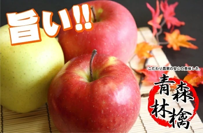 【11月中旬頃発送】蜜入りは１２月末まで 甘くておいしい！ フォーシーズン 青森りんご 葉とらずサンふじ　家庭用　5C箱(5kg箱)