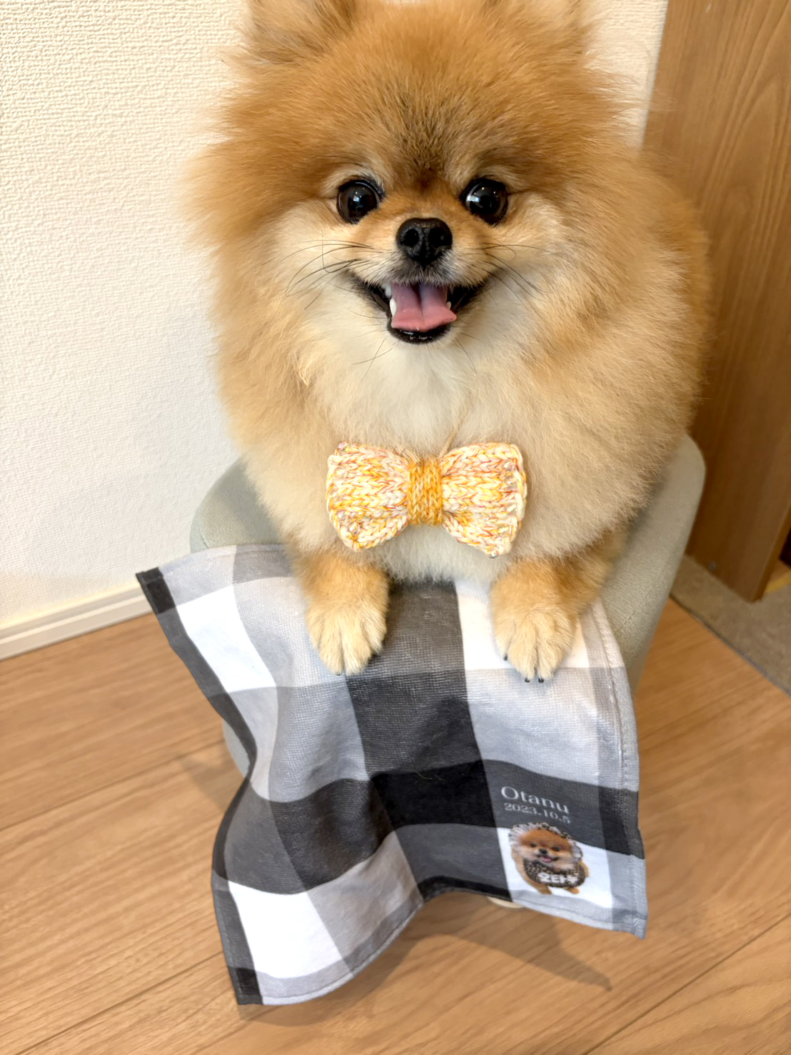 ペットのお写真で作るハンドタオル(ハンカチ) For PAPA | 名入れ・記念日いり【送料無料】お誕生日 母の日 父の日 敬老の日 還暦祝い クリスマスプレゼント うちの子グッズ