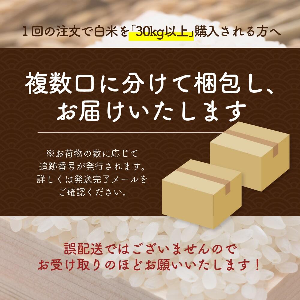 令和8年産 新米 愛媛県産 コシヒカリ【内容量が選べる5kg～30kg】雑穀米本舗 愛媛県 選べる 白米 単一原料米 送料無料 精米工場からの直送品