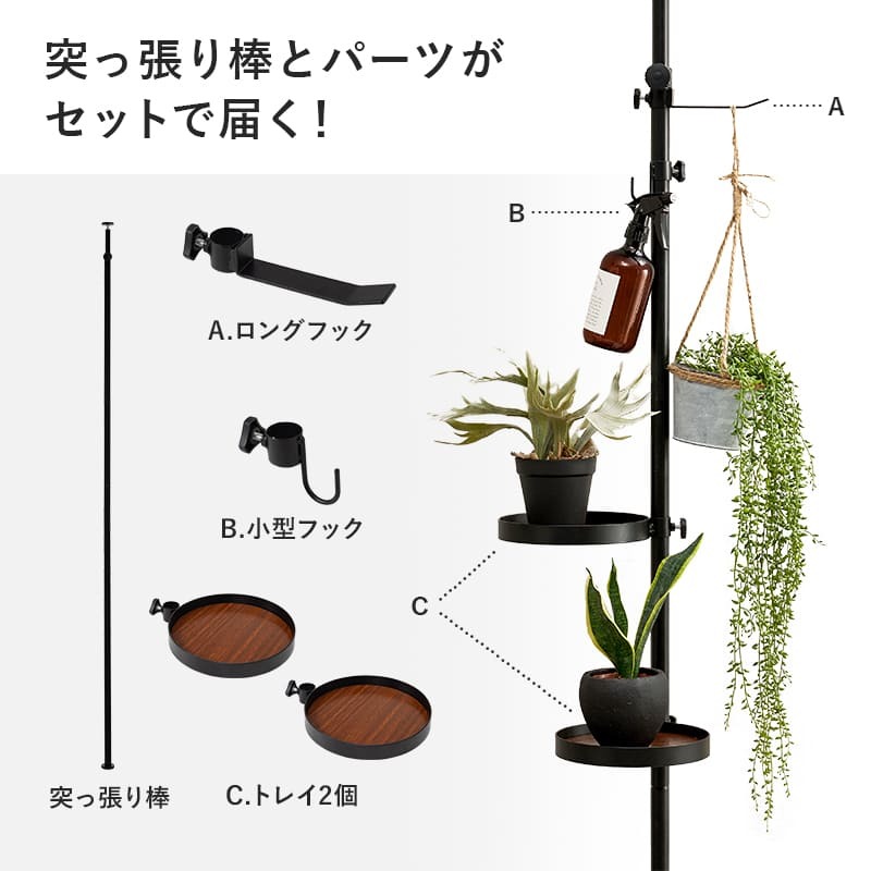 ラック 突っ張り ポール 突っ張り棒＆パーツ ５点セット 丸型 ハンガー 天井高さ187～264cm 天井突っ張り つっぱり 突っ張り式 ディスプレイ おしゃれ スリム コンパクト 新生活