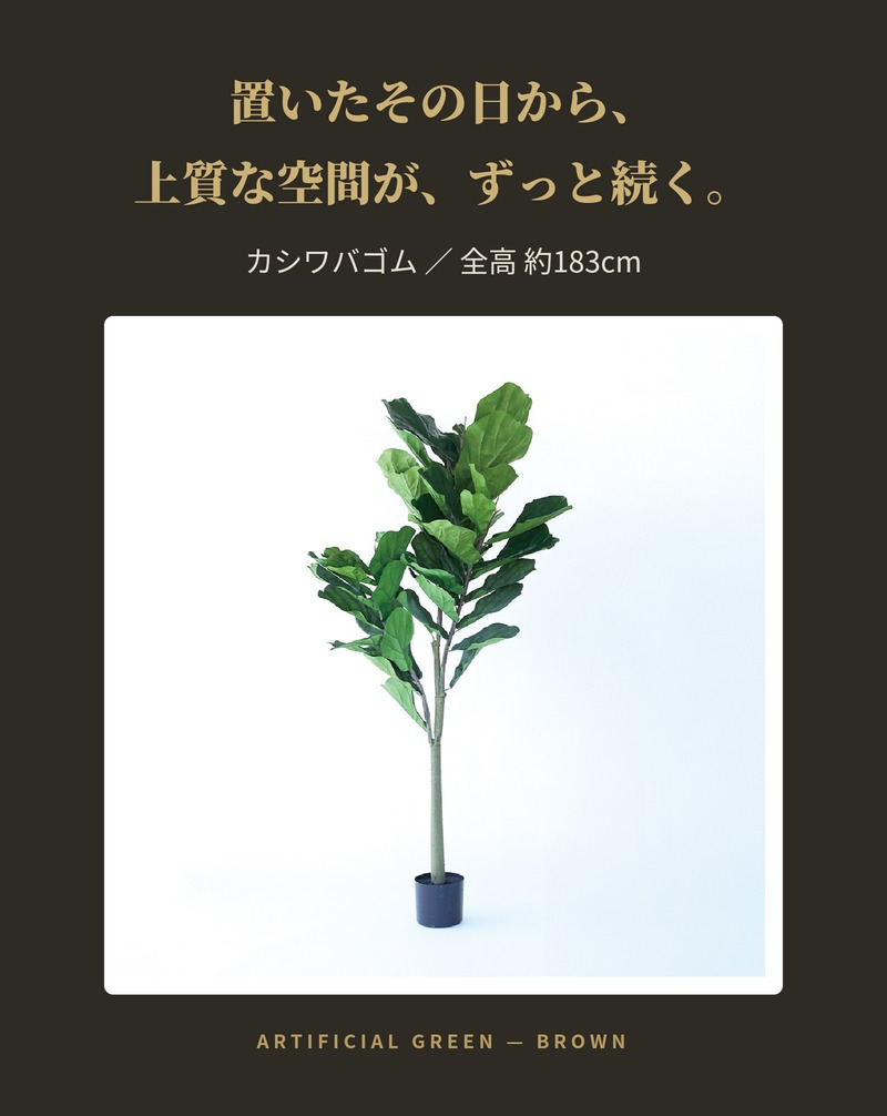 観葉植物 造花 カシワバゴム BROWN 全高約183cm 大型 フェイクグリーン 高級 本物そっくり リアル おしゃれ インテリア 人工観葉植物 アーティフィシャルグリーン モダン オフィス 店舗 ホテル 開店祝い 室内 リビング 玄関 風水 カシワバゴムノキ
