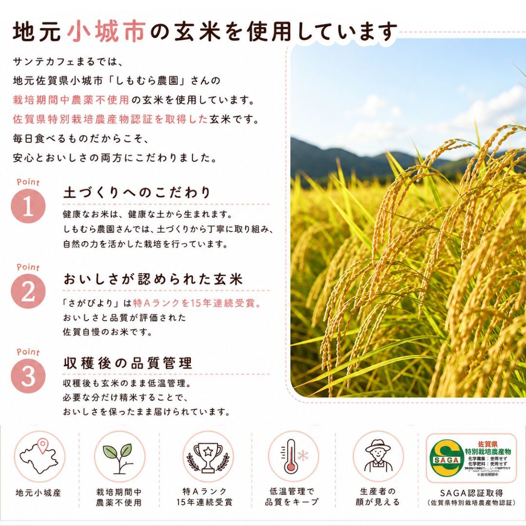 グルテンフリー ヴィーガン玄米スティックパン 10本入り