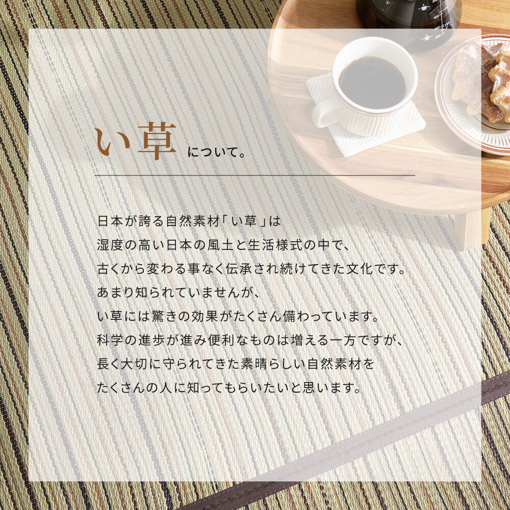い草カーペット 涼み 裏貼り 江戸間 2畳 3畳 4.5畳 6畳 8畳 い草ラグ 天然い草100％ メセキ織 不織布 クッション性 床傷対策 和モダン 花ござ 上敷き 畳保護 四方縁 抗カビ 消臭 ブラウン 夏用 涼感 和室 洋室 折りたたみ 収納
