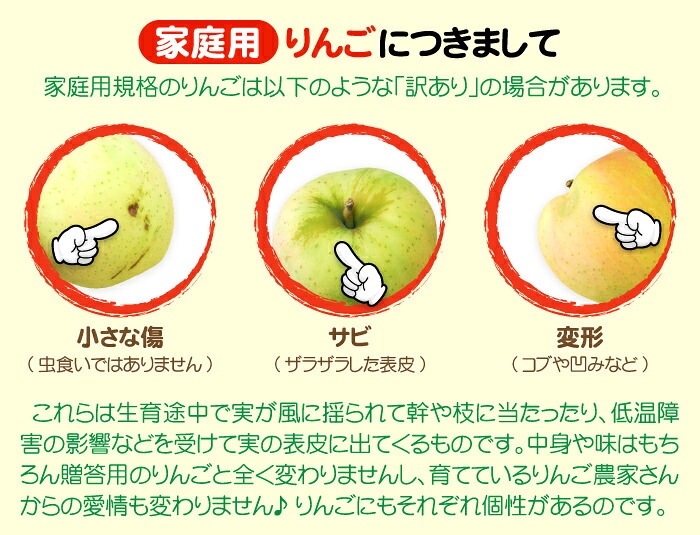 【11月下旬頃発送】青森 りんご 王林 ＆ サンふじ ミックス 家庭用 5C箱(約5kg:13～16個入)  一華ベジフル ふじ ふじりんご 蜜入り リンゴ 林檎 アップル 贈答 ギフト ３キロ 5キロ 10キロ 訳あり 糖度 青森産 青森県産 青森名産 2026 お歳暮【送料無料】