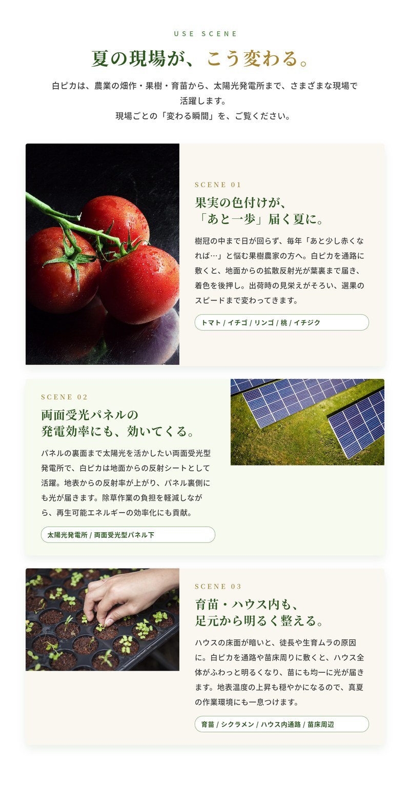 ルンルンシート 白ピカ 防草シート 白色 100m 反射シート 雑草対策 太陽光反射 光合成促進 地表温度抑制 透水性 幅50/75/100/150/200/300/400cm 7サイズ展開 農業マルチング ビニールハウス 家庭菜園 畑 法面 太陽光発電 ポリプロピレン 耐用3-5年 業務用 特許取得