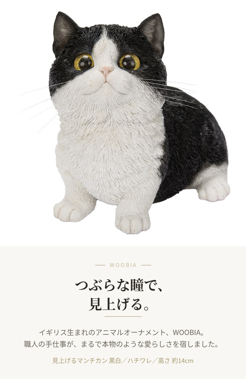 置物 猫 見上げるマンチカン 黒白 幅16cm woobia ウービア リアル かわいい おしゃれ 玄関 インテリア オブジェ ガーデン マンチカン 白黒 ハチワレ ネコ 動物 アニマル 癒し 棚 北欧 リビング プレゼント ギフト 新築祝い 猫好き