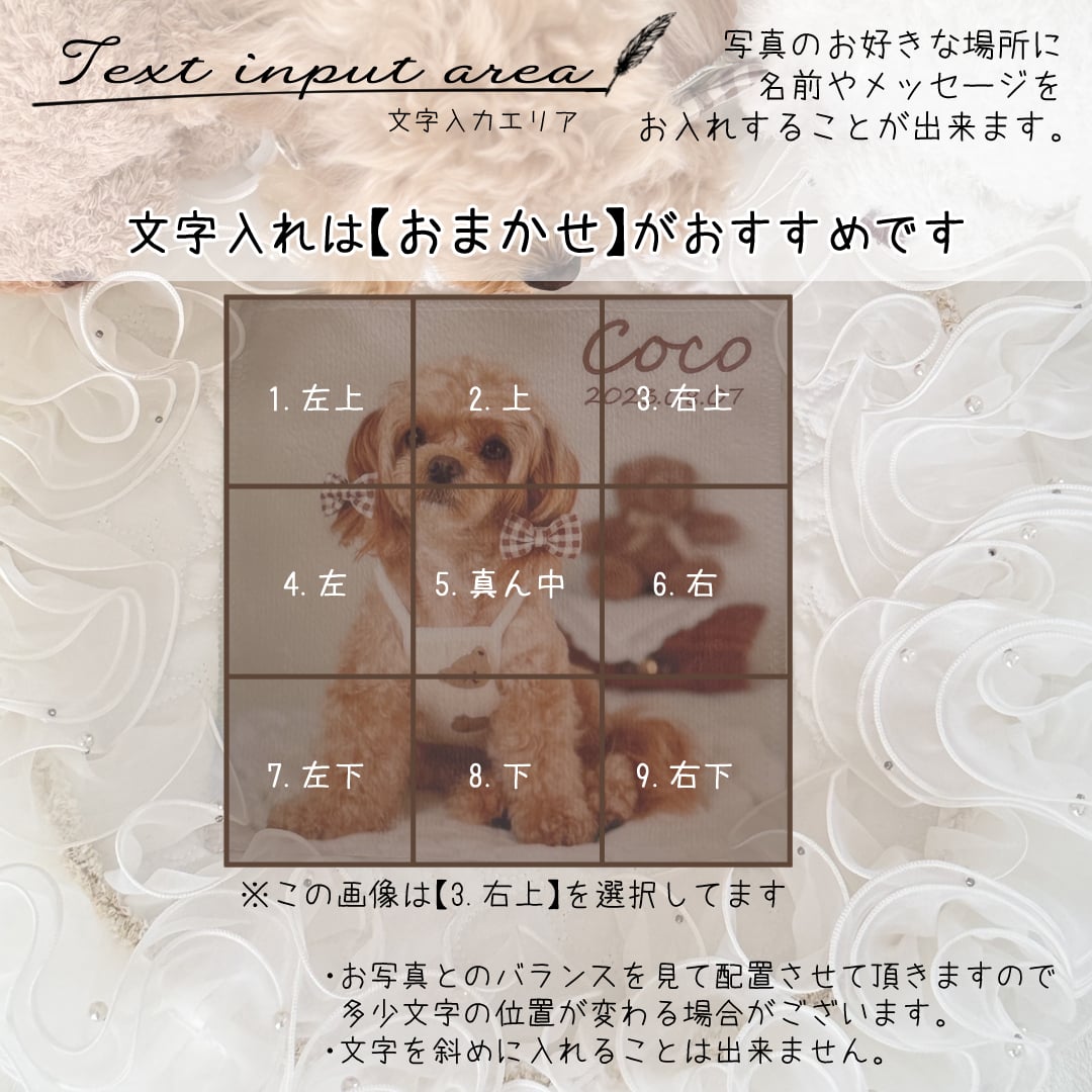 写真入りハンカチ 名入れ無料 オーダーメイド オリジナル 名入れグッズ うちの子グッズ 出産祝い お誕生日 内祝い ノベルティ プチギフト プレゼント 七五三 父の日 母の日 敬老の日 ホワイトデー クリスマス 行事 孫 ペット 卒園 卒業 卒団 記念品 誕生日プレゼント 推し活