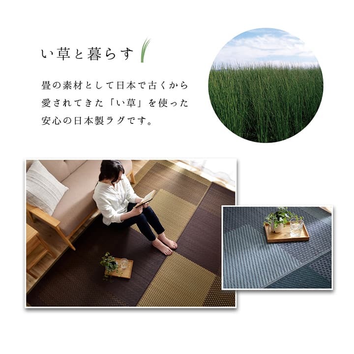 夏ラグ 夏用カーペット ラグ 長方形 夏用 ふっくら い草 シンプル 191×250cm 新生活