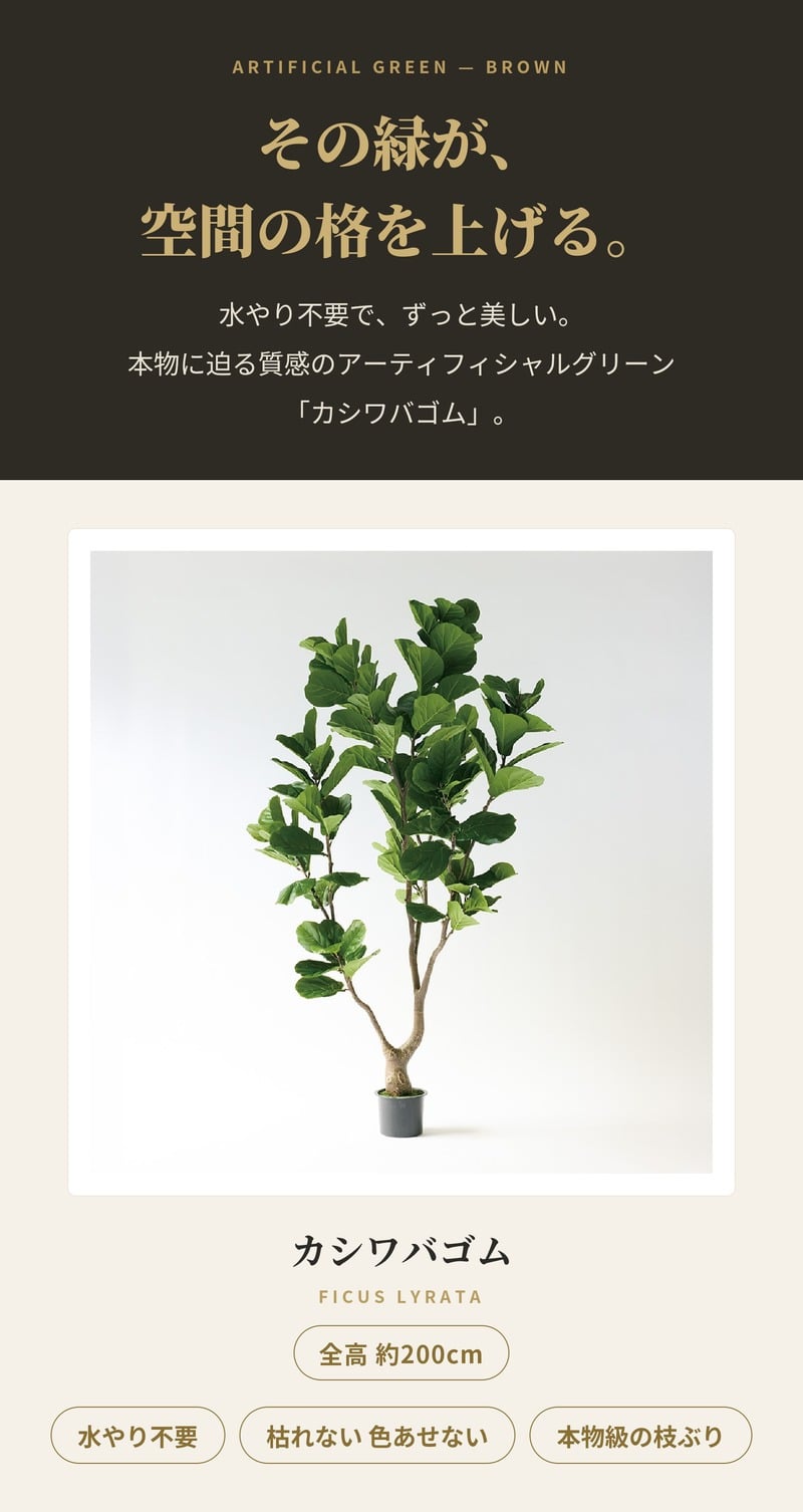 観葉植物 造花 カシワバゴム BROWN 全高約200cm 大型 曲がり幹 フェイクグリーン 高級 本物そっくり リアル おしゃれ インテリア 人工観葉植物 アーティフィシャルグリーン シンボルツリー オフィス 店舗 ホテル 開店祝い 室内 リビング 玄関 風水 ゴムの木