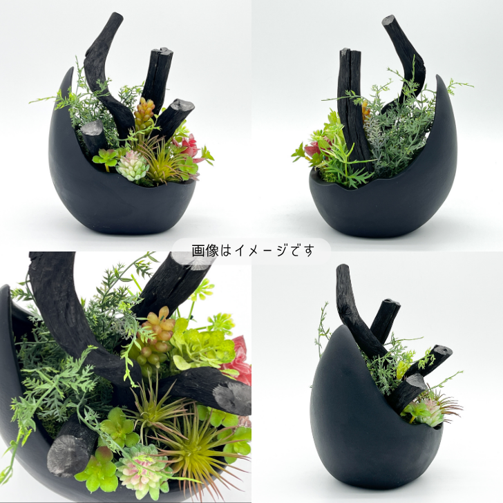 【送料無料】サウススカイ 紀州備長炭 三日月 インテリア おしゃれ 和風 和室 和モダン 玄関 トイレ 置物 飾り 消臭 脱臭 除湿 風水 上品 センスいい かっこいい 可愛い 優雅 華やか 多肉植物 飲食店 旅館 オフィス 応接室 新築祝 開店祝 誕生日 プレゼント ギフト 人気
