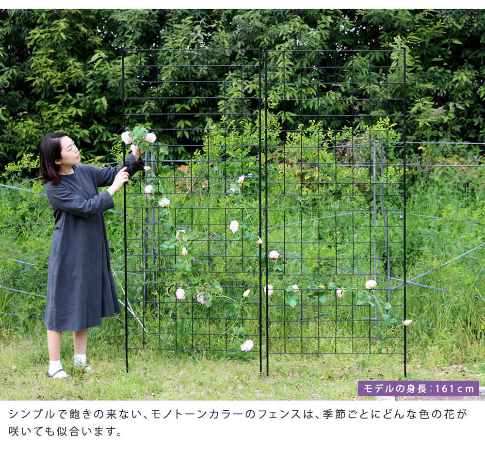 ガーデン エクステリア アイアンフェンス 高さ226 「グラフ」 1枚 フェンス アイアン ガーデニング 枠 柵 仕切り 目隠し 境目 クラシカル アンティーク 格子 ベランダ つる 薔薇 バラ 朝顔 園芸 ラティス つるバラ 庭誘引 屋外 新生活