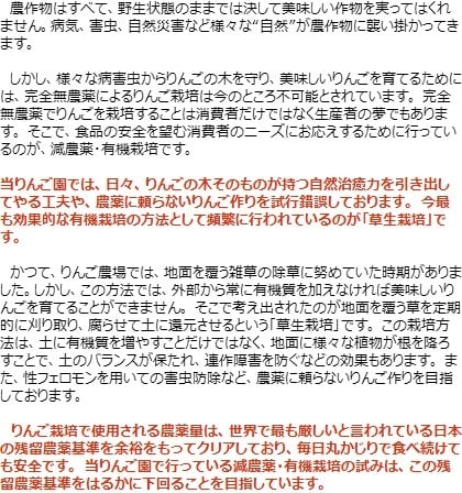 【11月中旬頃発送】蜜入りは１２月末まで 甘くておいしい！ フォーシーズン 青森りんご 葉とらずサンふじ　家庭用　5C箱(5kg箱)