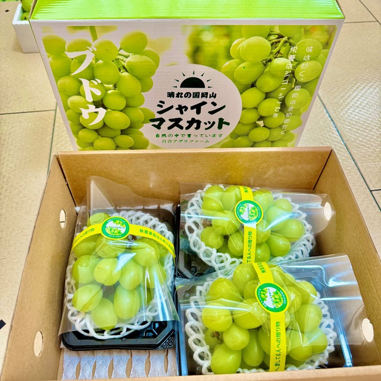 岡山県産 ぶどう シャインマスカット 300g3房 贈答用秀品 国産 フルーツ