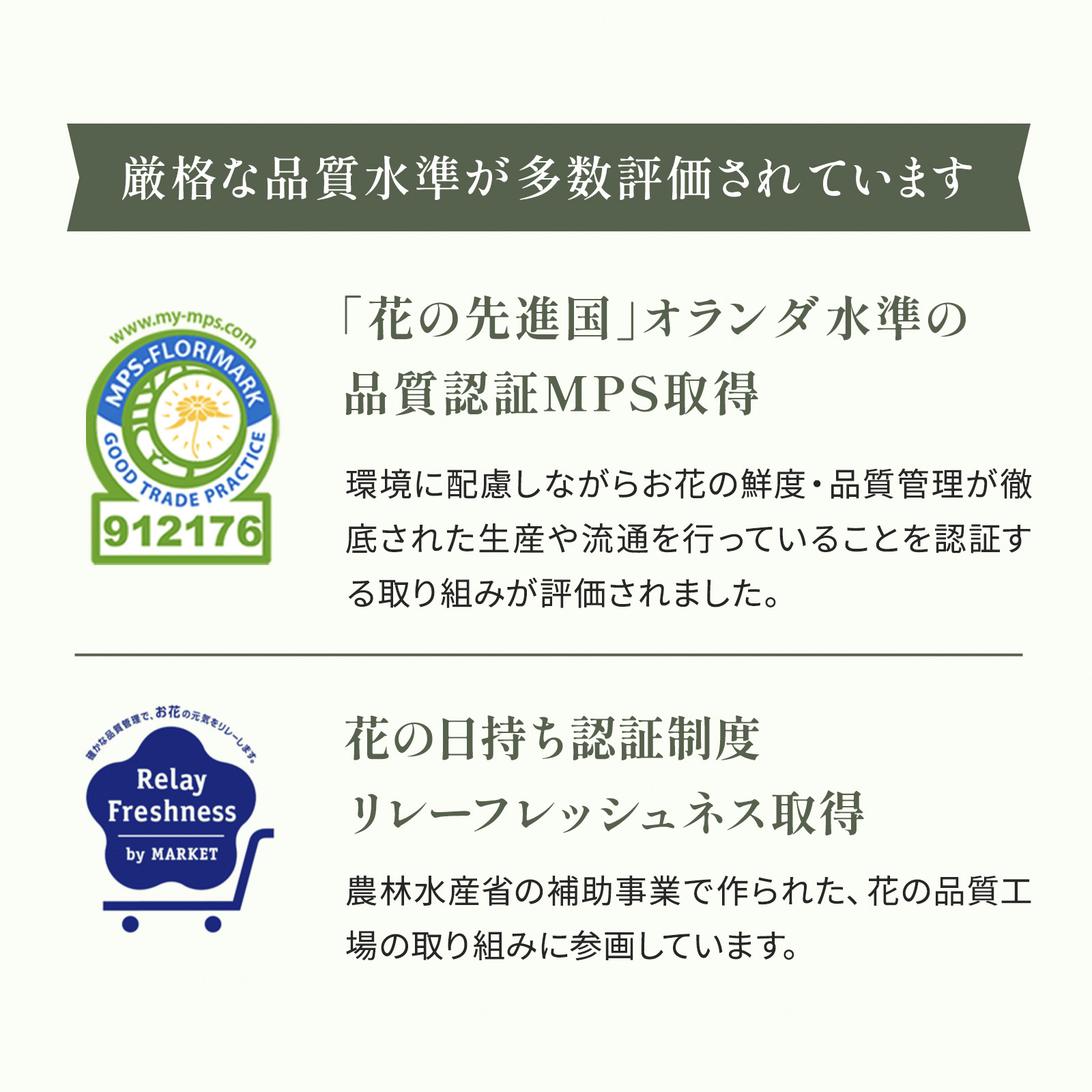 選べる 観葉植物 ポトス & アイビー ガジュマル &サンスベリア お試し 2点 セット 鉢付き 3号 ミニサイズ 幸運の木 風水 インテリア 室内 オシャレ 70代 あす楽 翌日配送  オフィス 開店祝い 結婚式 新築祝い 就職祝い 開業祝い
