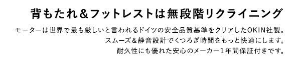 ソファ 座椅子 抜群の座り心地 1人掛け電動リクライニング SH-24-ESL-1--BR ブラウン 一人掛け ホームテイスト 電動 リクライニング レザー フットレスト 1P ポケットコイル モダン おしゃれ