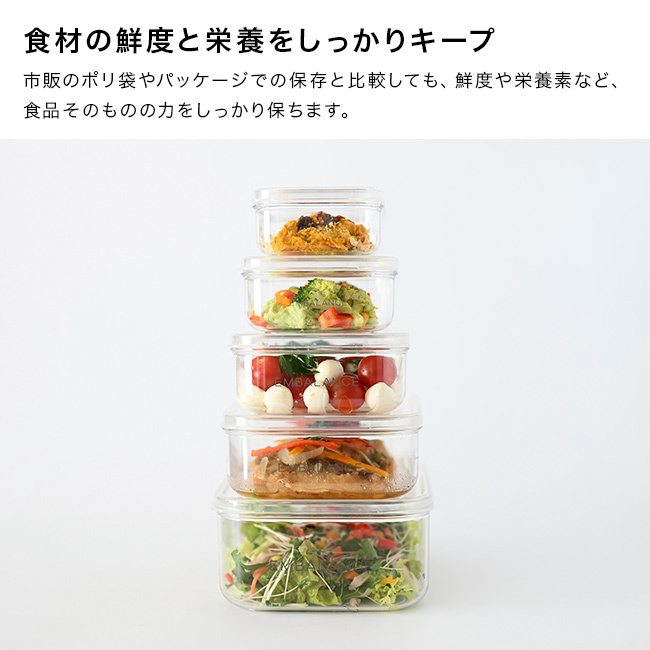 EMBALANCE エンバランス 保存容器 620ml クリアコンテナ S[保存容器 クリア プラスチック 透明 中身が見える 保存ケース 薄型 容器 日本製 おしゃれ 弁当箱 ご飯 保存 保存用 小分け 小型 ミニ フードコンテナ BPAフリー 四角]