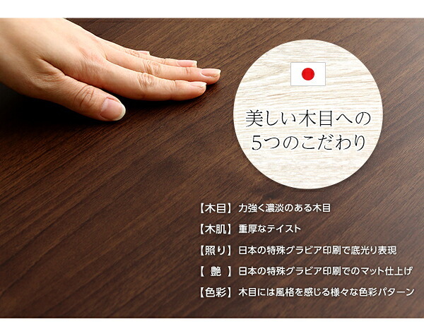 収納家具 ラック DEALS-ディールズ- フラップ扉1枚タイプ DS60-F1--WAL ウォールナット ホームテイスト ディスプレイ シリーズ 本棚 ブック フラップ フラップチェスト