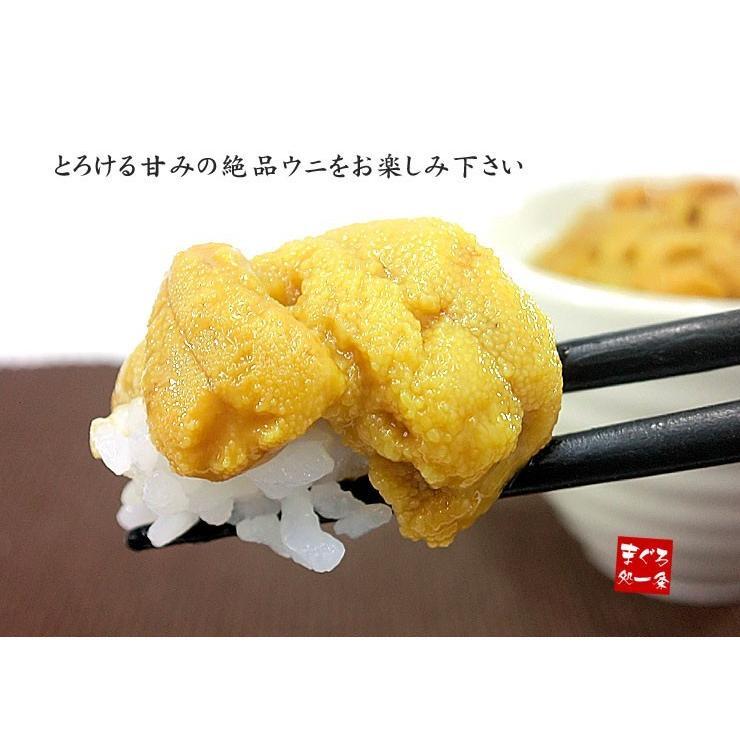 無添加 お刺身ウニ1kg(100g×10個) 送料無料 とろける食感がたまらない（刺身 海鮮丼 うに丼 手巻き寿司 おつまみ ギフト お歳暮 お年賀 贈り物 業務用 贈り物 プレゼント 御祝 内祝 ギフト）[[生ウニ100-10p]