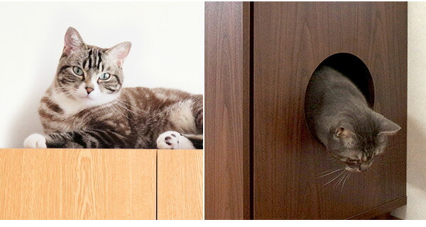 ラック あす楽 キャットトイレクローゼット 猫トイレ収納 隠す おしゃれ 家具 目隠し ペット用品 ねこ カバー 棚 収納棚 トイレ収納 猫砂飛散防止 ブラウン 猫用トイレ ナチュラル ホワイト 新生活
