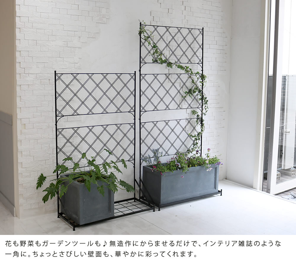 ガーデン エクステリア プランター台付フェンス ロータイプ アーガイル フェンス ゲート 扉 アイアン ガーデニング 枠 柵 仕切り 目隠し 境目 ベランダ つる 薔薇 バラ 朝顔 園芸 ラティス つるバラ 庭 誘引 屋外 新生活