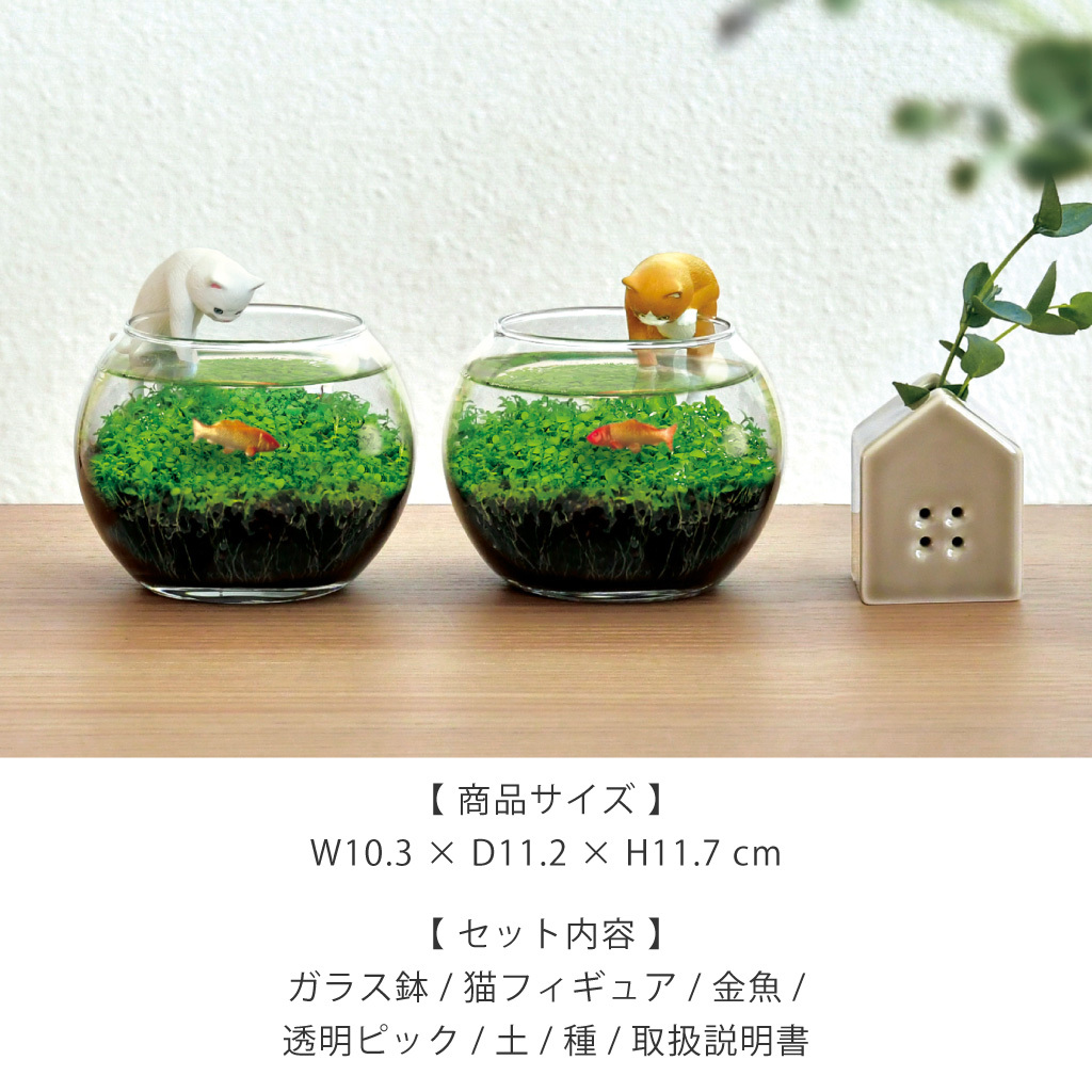 じゃれ猫水草鉢 猫と楽しむミニアクアリウム水草栽培キット 鉢付き フィギュア付き 猫 ネコ ねこ 金魚 植物 グリーン スターターセット オブジェ 置物 おしゃれ インテリア 雑貨 ギフト プレゼント 男性 女性 誕生日 母の日 父の日 敬老の日 引越し祝い 新築祝い お祝 ラッピング対応 無料ラッピング