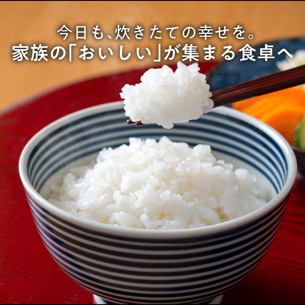 令和8年産 新米 愛媛県産 コシヒカリ【内容量が選べる5kg～30kg】雑穀米本舗 愛媛県 選べる 白米 単一原料米 送料無料 精米工場からの直送品