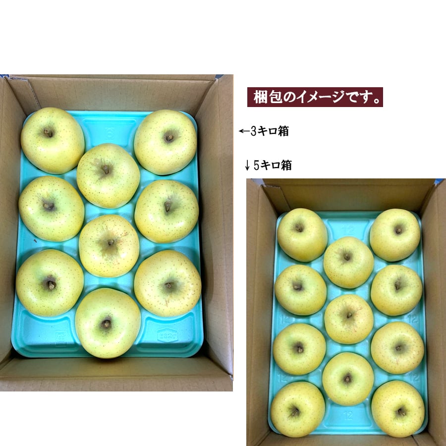 糖度12度保証 長野県産りんご シナノゴールド 秀品 ご贈答 果物 フルーツ お取り寄せ 産地直送 【送料無料(一部地域除く)】