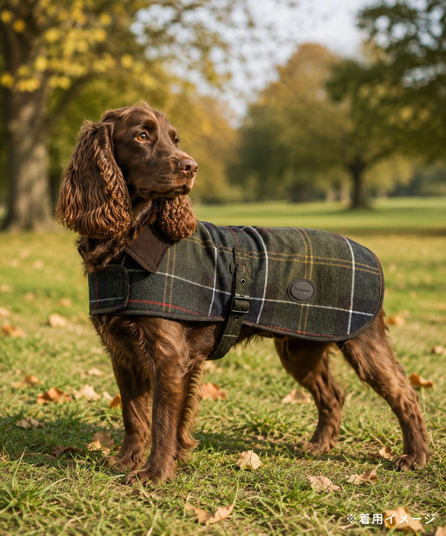バブアー Barbour WOOL TOUCH DOG COAT ウールタッチ ドッグコート DCO0010 ドッグウェア 服 ペット用品 犬 ペット クラシックタータン