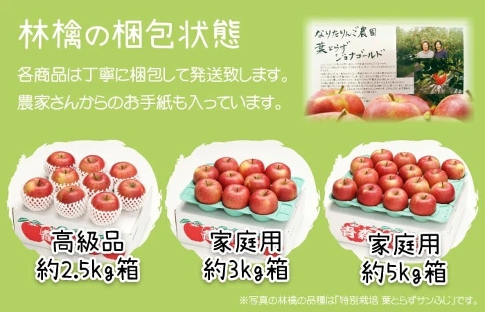 【11月中旬頃発送】蜜入りは１２月末まで　青森県認証 特別栽培農産物 ◆ 甘くておいしい！フォーシーズン 青森りんご 葉とらずサンふじ 家庭用 約１０kg箱