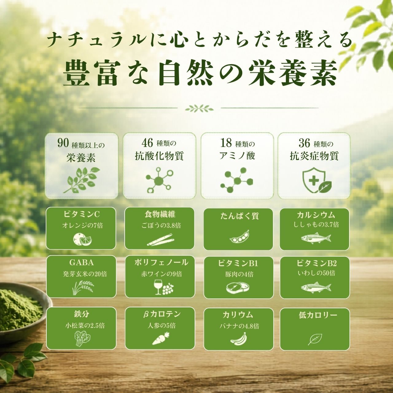 【モリンガ×抹茶】SAEMON's モリンガ抹茶プラス 200g スーパーフード モリンガ 粉末 国産抹茶 90種以上の栄養素 GABA ポリフェノール 食物繊維 美容 健康 朝食置き換え プロテイン スムージー ギフト