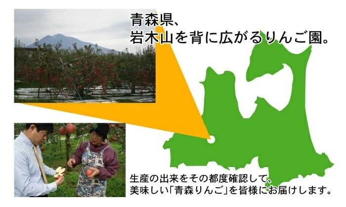【11月中旬頃発送】蜜入りは１２月末まで 甘くておいしい！ フォーシーズン 青森りんご 葉とらずサンふじ　家庭用　5C箱(5kg箱)