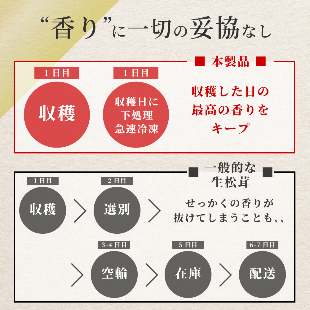 松茸 生松茸 冷凍 500g 1000g 1500g 4-7cmサイズ スライス 割れや欠けあり 洗浄済み そのまま使える 松茸ご飯やお吸い物にも 茶碗蒸しや土瓶蒸しにも最適 高級料亭 マツタケ まつたけ 秋の味覚 無農薬 無添加 中国産