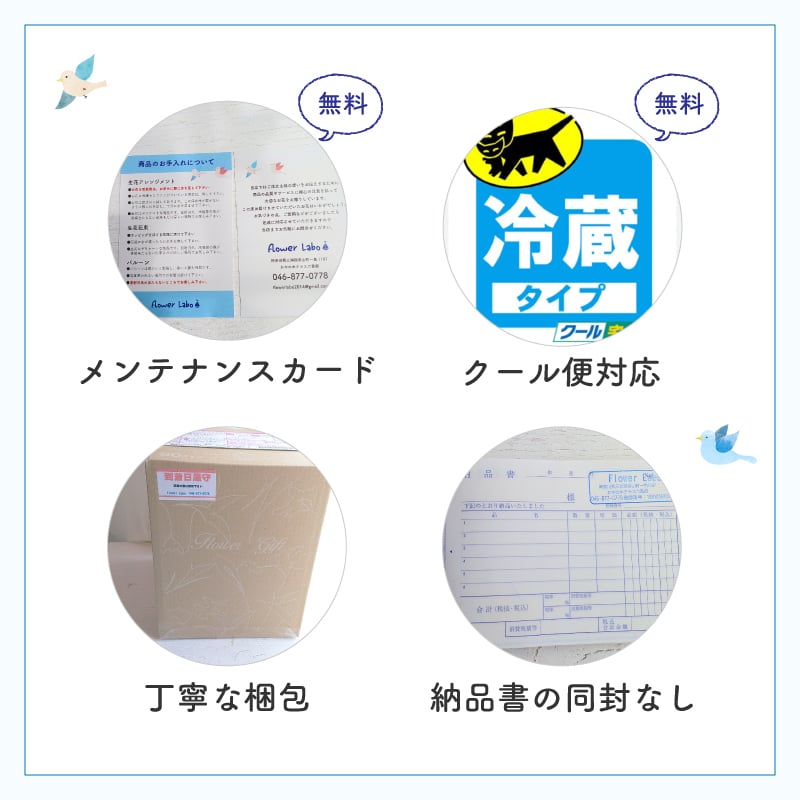 【ペットのお悔やみ】【 選べる5色】【Mサイズ】【クール便】【送料込み】フラワーアレンジメント おまかせ制作 最短翌日お届け  日時指定可 | ペット お供え 犬 猫 お悔やみ 虹の橋 ペット供養 お供え花 お悔やみ花 供花 四十九日 命日に贈るフラワーアレンジメント