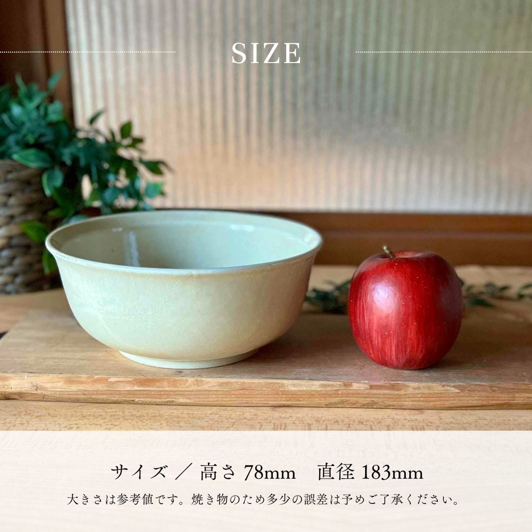 温もりを感じるレトロ丼（01012）