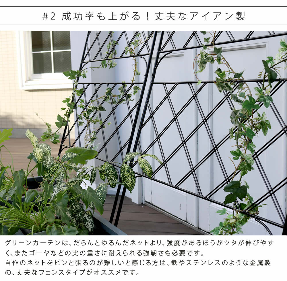アイアンフェンス アイアン製グリーン アーガイル 2枚組 フェンス アイアン グリーンフェンス ゴーヤ 薔薇 バラ 朝顔 庭 ベランダ ガーデニング 枠 柵 仕切り 目隠し 境目 アンティーク トレリス 園芸 ラティス 屋外 ガーデンフェンス 庭用品 新生活