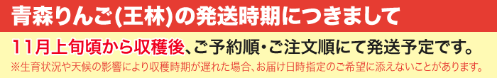 【11月中旬頃発送】一華ベジフル 青森 りんご 王林 (おうりん) 家庭用 3C箱(8～12個入) 一華ベジフル 青森 お土産 青森県産 果物 フルーツ 訳あり ランキング ギフト リンゴ 林檎 アップル 送料無料 お歳暮 2026